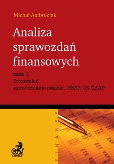 Analiza sprawozdań finansowych. Zrozumieć sprawozdanie polskie, MSSF, US GAAP. Tom 1