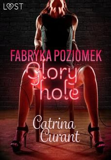 Fabryka Poziomek: Glory hole opowiadanie erotyczne