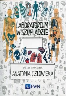 Laboratorium w szufladzie - anatomia człowieka