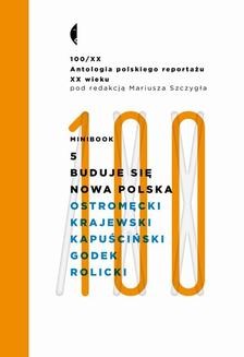 Minibook 5. Buduje się nowa Polska